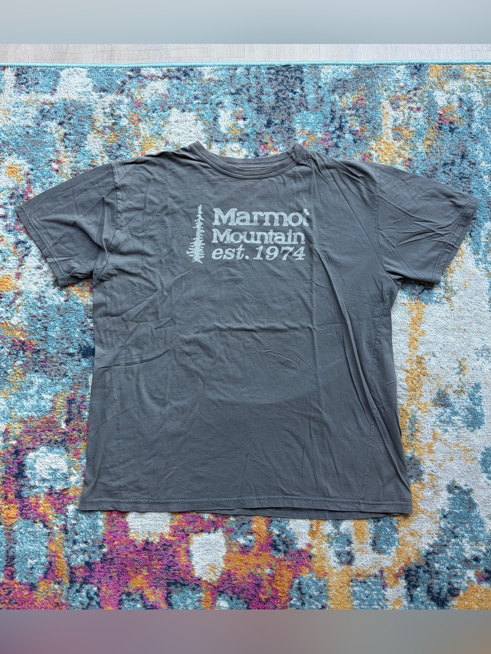 Y2K Marmot shirt